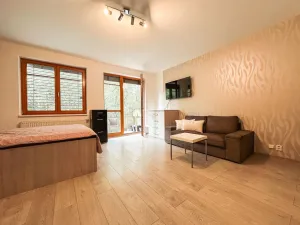 Pronájem bytu 1+kk, Praha - Záběhlice, Podle náhonu, 35 m2