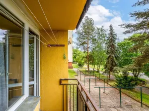 Prodej bytu 2+1, Mladá Boleslav - Mladá Boleslav II, Jana Palacha, 61 m2