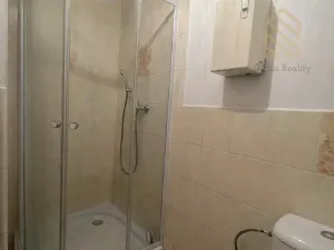 Prodej vícegeneračního domu, Ústí nad Labem, 190 m2