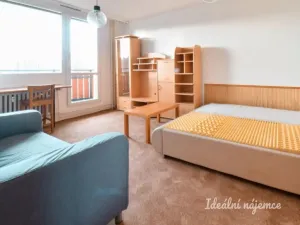 Pronájem bytu 1+1, Brno - Lesná, Šrámkova, 27 m2