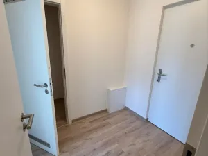 Pronájem bytu 1+kk, Praha, Kolmanova, 40 m2