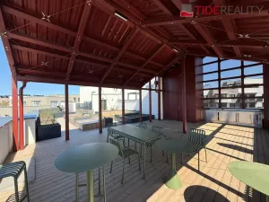 Pronájem bytu 1+kk, Praha, Kolmanova, 40 m2