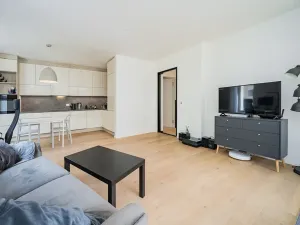 Prodej bytu 2+kk, Praha - Nusle, Pod Děkankou, 57 m2