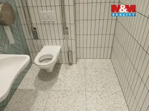 Prodej obchodního prostoru, Opava - Město, Masarykova třída, 200 m2