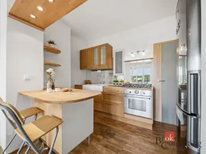 Prodej bytu 1+1, Praha - Podolí, Podolská, 39 m2