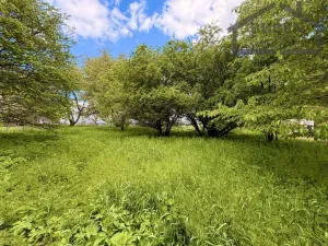 Prodej pozemku pro bydlení, Lestkov, 2218 m2