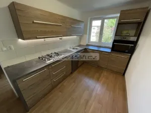 Pronájem bytu 3+1, Plzeň, Nepomucká, 70 m2