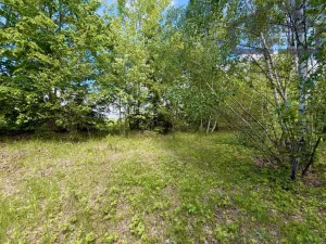 Prodej pozemku pro bydlení, Lestkov - Domaslav, 435 m2
