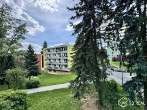 Pronájem bytu 2+1, Brno, Gabriely Preissové, 50 m2