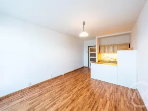 Pronájem bytu 1+kk, Ostrava - Výškovice, Výškovická, 28 m2