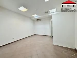 Pronájem obchodního prostoru, Brno, Orlí, 25 m2