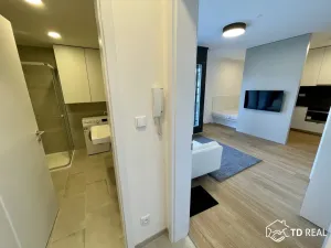 Pronájem bytu 1+kk, Brno, Vinařská, 34 m2