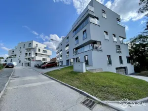 Pronájem bytu 1+kk, Brno, Vinařská, 34 m2