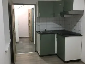Pronájem bytu 1+kk, Brno, Křenová, 20 m2