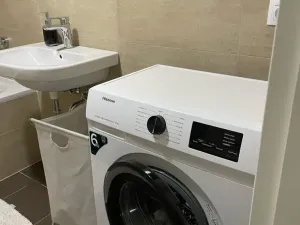 Pronájem bytu 1+kk, Praha - Žižkov, Olgy Havlové, 37 m2