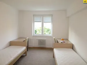 Pronájem pokoje, Olomouc, Masarykova třída, 17 m2