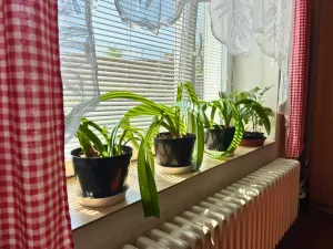 Prodej rodinného domu, Hrdlív, 150 m2