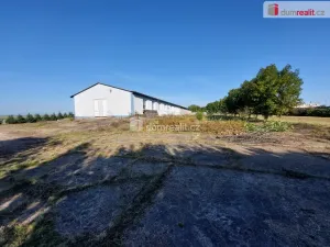 Prodej komerční nemovitosti, Bohaterów 1B, 48-130 Nasiedle, Polsko, 1150 m2