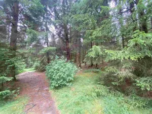 Prodej pole, Krásná, 1440 m2