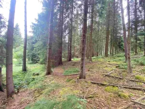 Prodej pole, Krásná, 1440 m2