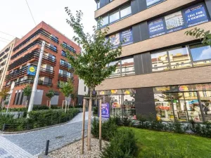 Prodej bytu 2+kk, Praha - Žižkov, Krásova, 41 m2