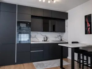 Prodej bytu 1+kk, Praha - Žižkov, Krásova, 41 m2