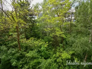 Pronájem bytu 2+kk, Brno, Kamínky, 55 m2
