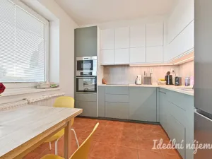 Pronájem bytu 3+kk, Brno, Říčanská, 81 m2