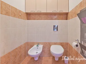 Pronájem bytu 3+kk, Brno, Říčanská, 81 m2