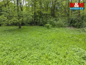 Prodej lesa, Červené Pečky - Bohouňovice I, 491 m2