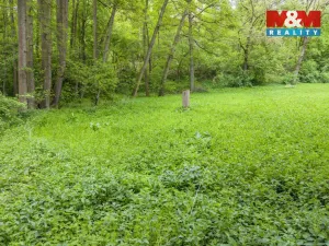 Prodej lesa, Červené Pečky - Bohouňovice I, 491 m2