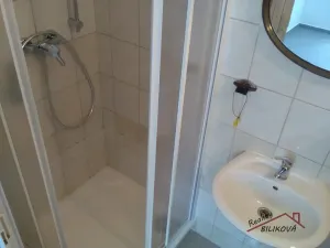 Pronájem bytu 1+1, Kostelec nad Labem, T. G. Masaryka, 45 m2