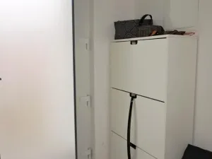 Pronájem bytu 2+kk, Prostějov, Mlýnská, 65 m2