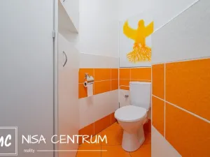 Pronájem bytu 3+1, Liberec, Dobiášova, 75 m2
