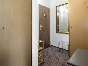 Pronájem bytu 1+1, Písek - Pražské Předměstí, Přemyslova, 42 m2