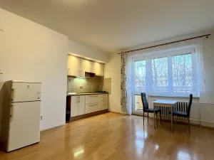 Pronájem bytu 1+kk, Ostrava - Poruba, Marie Majerové, 23 m2