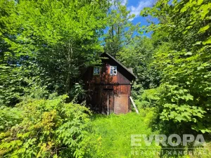Prodej chalupy, Desná - Desná I, Výletní, 110 m2