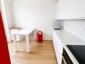 Pronájem bytu 3+1, Praha - Vinohrady, Šafaříkova, 95 m2