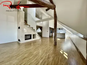 Pronájem bytu 6+kk a větší, Praha, Ovenecká, 265 m2