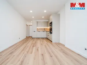 Prodej bytu 4+kk, Ostrava - Hrabůvka, Holasova, 78 m2
