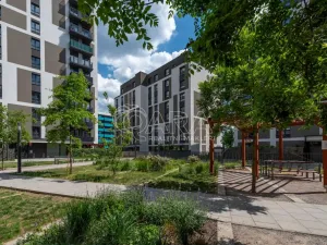 Pronájem bytu 2+kk, Praha - Žižkov, Olgy Havlové, 43 m2