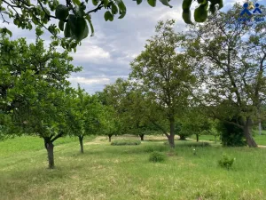 Prodej pozemku, Želeč, 40 m2