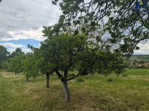 Prodej pozemku, Želeč, 40 m2