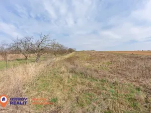 Prodej pozemku pro bydlení, Držovice, 2369 m2