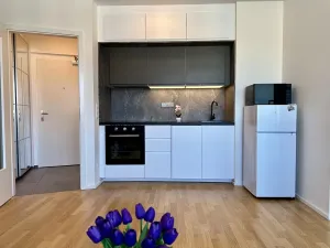 Pronájem bytu 2+kk, Praha - Žižkov, Krásova, 38 m2