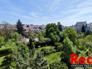 Pronájem bytu 3+1, Brno - Veveří, Čápkova, 123 m2