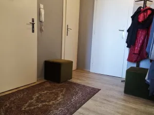 Pronájem bytu 3+1, Brno - Veveří, Čápkova, 123 m2