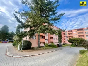 Prodej bytu 1+1, Tábor, Angela Kančeva, 29 m2