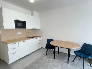 Pronájem bytu 1+kk, Praha - Vysočany, Gerstelova, 34 m2