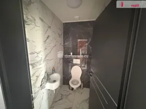 Pronájem rodinného domu, Velká Hleďsebe, U Moštárny, 160 m2